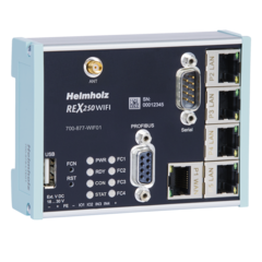Router RJ45/DP/USB/VPN/WiFi REX 250 WIFI