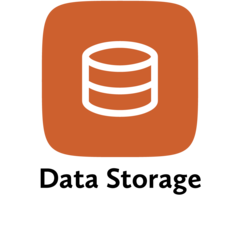 Forge DataS sing/per Data Storage single-licens